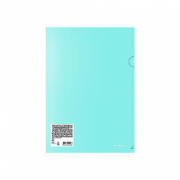 Цена за 12 шт. Папка-уголок пластиковая ErichKrause Diagonal Pastel, A4, непрозрачный, ассорти (в пакете по 12 шт.)  фото 11