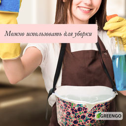 Цена за 2 шт. Ёмкость для сбора ягод, 3 л, тёмно-зелёная