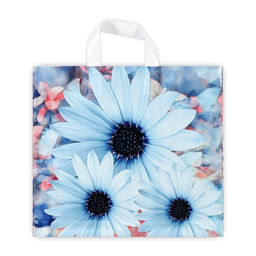 Цена за 50 шт. Пакет «Дарси», полиэтиленовый с петлевой ручкой, 37×34 см, 70 мкм