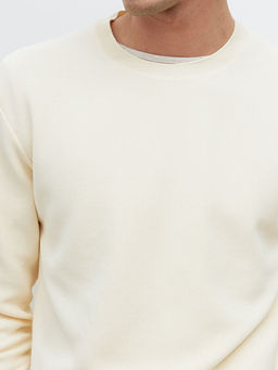 Bisiklet Yaka Erkek Triko Kazak