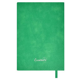 Ежедневник датированный 2024 ESCALADA, А6, 120 л., арт. 63830/ 20 ШЕВРЕТ ЭКСТРА ЗЕЛЁНЫЙ  фото 9