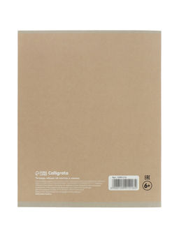 Комплект тетрадей 5 штук, 48 листов в линейку Calligrata «Квиллинг», 5 видов