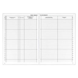 Классный журнал 10-11 класс арт. 5193