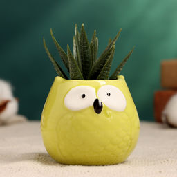 Горшок для цветов «Сова Гриня» керамический, 150 мл, 5×6 см, жёлтый