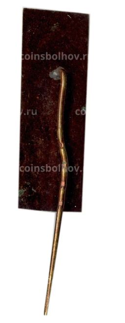 Значок Пиркиупис