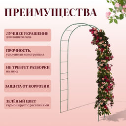Арка садовая, 240×125×36.5 см, для вьющихся растений, металлическая, зелёная, Greengo