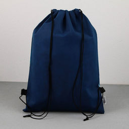 Мешок для обуви «Чемпион» (нетканый материал) 41×30 см