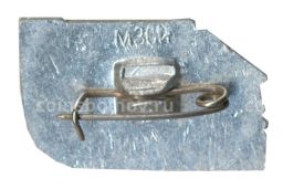 Значок Шушенское