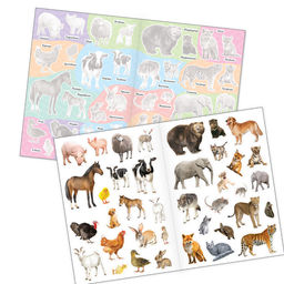 Книги с наклейками многоразовыми Познавательные, набор 3 шт. - Буква-ленд фото 2