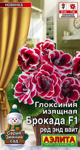 2010A Глоксиния Брокада F1 ред энд вайт 5шт