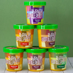 Набор для выращивания "Кактусы"