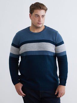 Bisiklet Yaka Renk Bloklu Erkek Triko Kazak