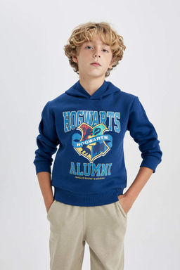 Толстая толстовка с капюшоном в стиле Гарри Поттера для мальчика