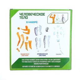 Научный опыт Человеческое тело - Эврики фото 7