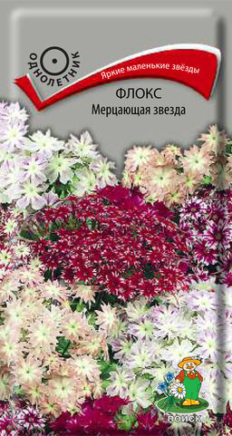 Флокс Мерцающая звезда 0,2г (Поиск)