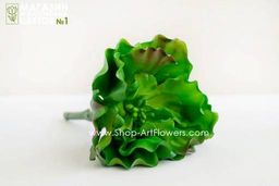 067 Суккулент 7 - Без тм фото 2