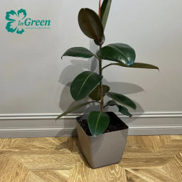 Горшок с дренажной вставкой InGreen Vienna, 5л, квадратный, французский платан IG680410105 ,, - Пластик репаблик фото 4
