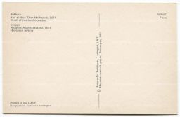 Открытка Бухара Медресе Абдулазисхана. Интерьер мечети.