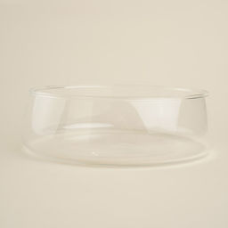 Фруктовница SL Home «Южная акация», 1 л, 19×6 см, с крышкой, стекло, прозрачная