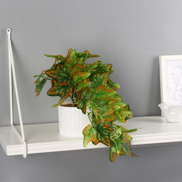 Искусственный цветок в горшке Сингониум элегант, 9?19 см, зелёный