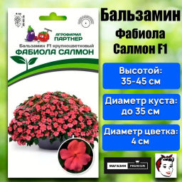 Бальзамин Уоллера крупноцветковый Фабиола Салмон - Партнер фото 2