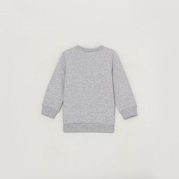 CRB wear/CWNB 62877-11-289 Джемпер для мальчика, светло-серый меланж/Ex.Cherubino  фото 4