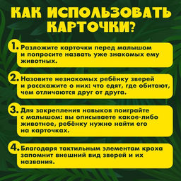 Развивающий набор «Животные Африки», тактильные карточки