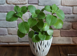 fd03c9e025391b35284e4c0d8706569c6ce336ymicsbyi1