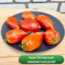 Гном Пятнистый каменистый ручей НОВИНКА 2025 года!