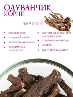 Корень одуванчика - Травы горного крыма фото 5