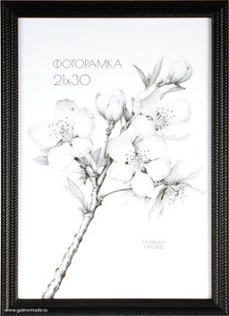 Фоторамка 21х30 / KSF1811-1 /уп10