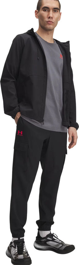 Брюки мужские