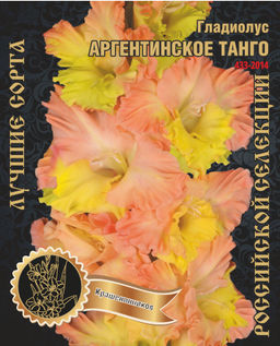 Гладиолус Аргентинское Танго 435,Каршенинников 1 р-р 7шт (Ф)