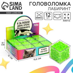 Цена за 12 шт. Головоломка лабиринт с шариком «За любой движ», в шоубоксе