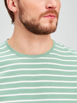 Футболка мужская короткий рукав GREG G145-KD4-UT22 (зеленая полоска)  фото 7