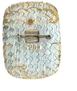 Значок Горький -Нижний Новгород