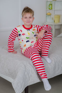 Пижама детская из джемпера и брюк без манжет из интерлока Сафари красный полоса - Амадэль фото 17