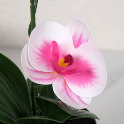 Цветочная композиция Орхидея 27 см / ZH-010 /уп 10/120/ - Галеонтрейд фото 7