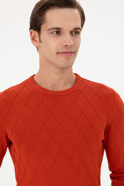Erkek Slim Fit Bisiklet Yaka Kiremit Kazak - U.s. polo assn фото 9