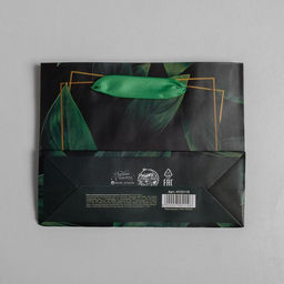 Цена за 2 шт. Пакет подарочный ламинированный, упаковка, Present for you, S 15 х 12 х 5.5 см