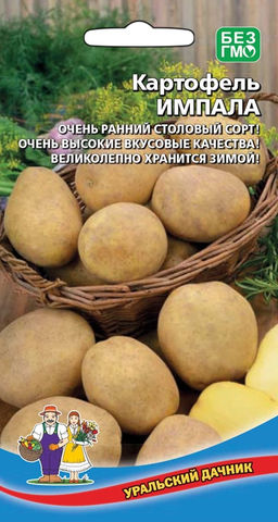 Картофель ИМПАЛА  Очень ранний! Высокие вкусовые качества! Великолепно лежит всю зиму!
