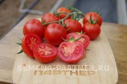 Томат Барух F1 - Партнер фото 2