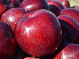 Яблоня Джеромини