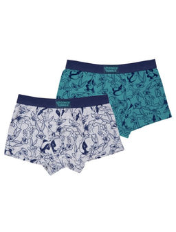 22437651 Трусы для мальчиков - брифы, 2 шт в комплекте