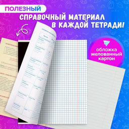 Набор предметных тетрадей 48 листов Calligrata Супернеон, 10 предметов  фото 2