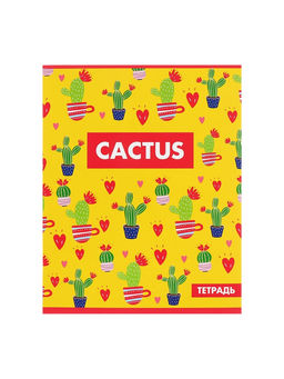 Комплект тетрадей из 5 шт Кактус, 48 листов, в клетку, обложка мелованный картон, блок офсет - Calligrata фото 11