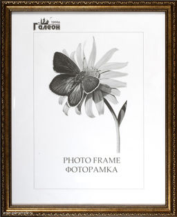 Фоторамка 21x30 /3101С-205А /