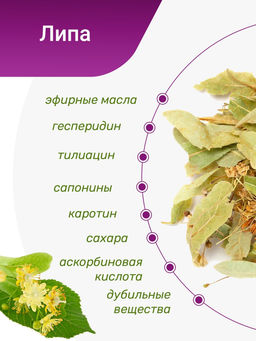 Хит! Липа в пирамидках - Травы горного крыма фото 7