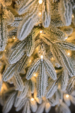 Ель заснеженная с лампочками Калининградская 1,5 м - Max christmas фото 4