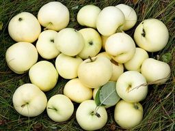 fd6d56e8c4b887d67678a976e6bcd1381lgqf43jvskwwfsi5m